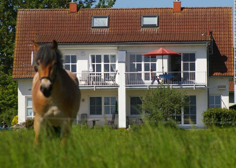Ferienwohnung Boddenblick Zudar Eksteriør billede
